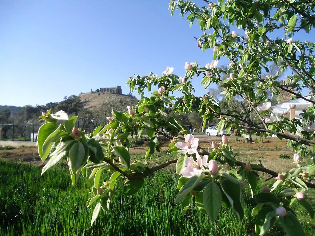 Casa Rural La Serrana De Aracena contacts